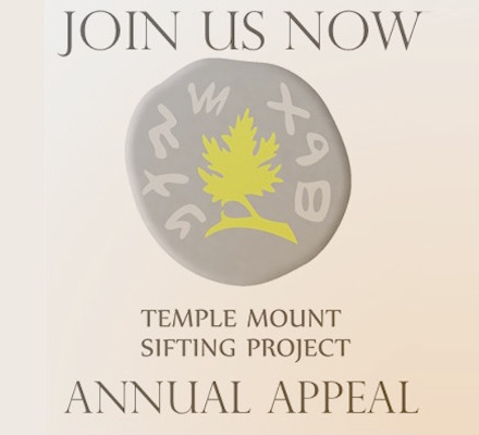 TMSP annual appeal