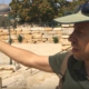 Zachi giving a tour near the Temple Mount