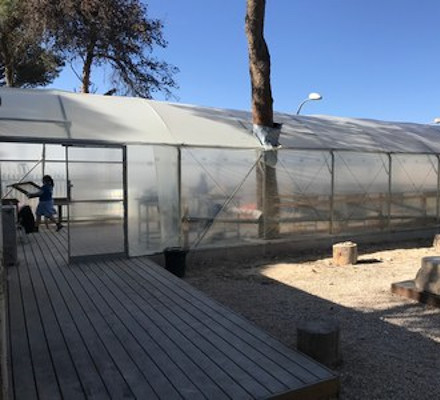 The sifting greenhouse