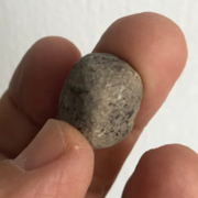 A stone die, the first that was found in the sifting project.