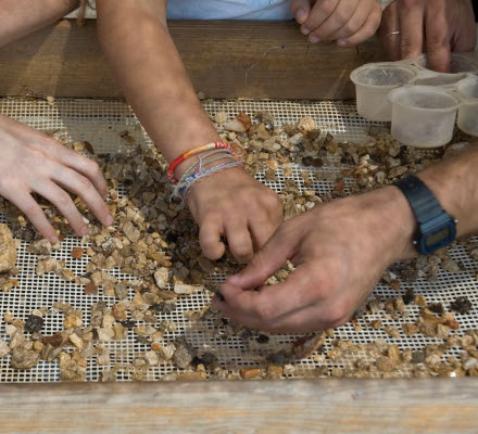 Hands sifting over a sifting net