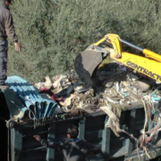 פינוי עפר מהר הבית ע"י טרקטורים ומשאיות